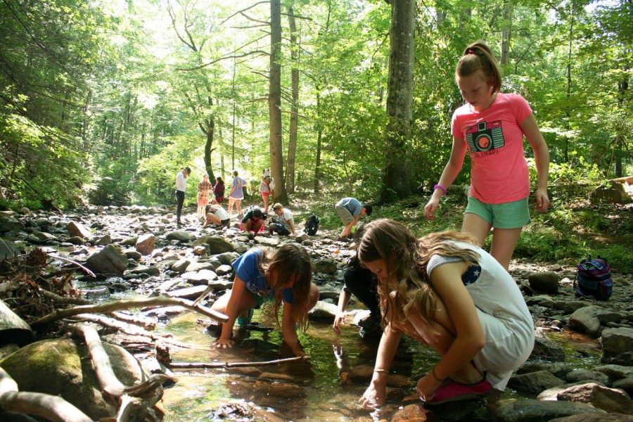 Yes, Virginia, there will be Camp this summer! News from Nature Camp